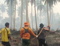 Karhutla Terjadi di Dua Titik Kecamatan Gaung, Penyebab Kebakaran Masih dalam Penyelidikan