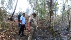 Hutan Ohoi Evu Terbakar Sumber Air Diprioritaskan