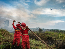 BMKG Ingatkan Risiko Karhutla saat El Niño, Masyarakat Diminta Waspada